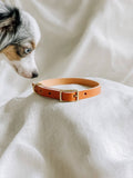 The Leather Collar — Caramel Slim