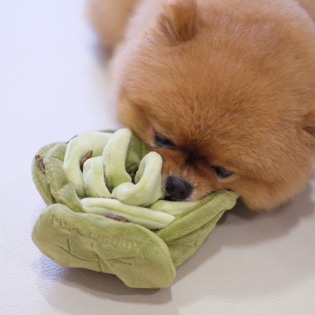 The Snuffle Chou — Sage