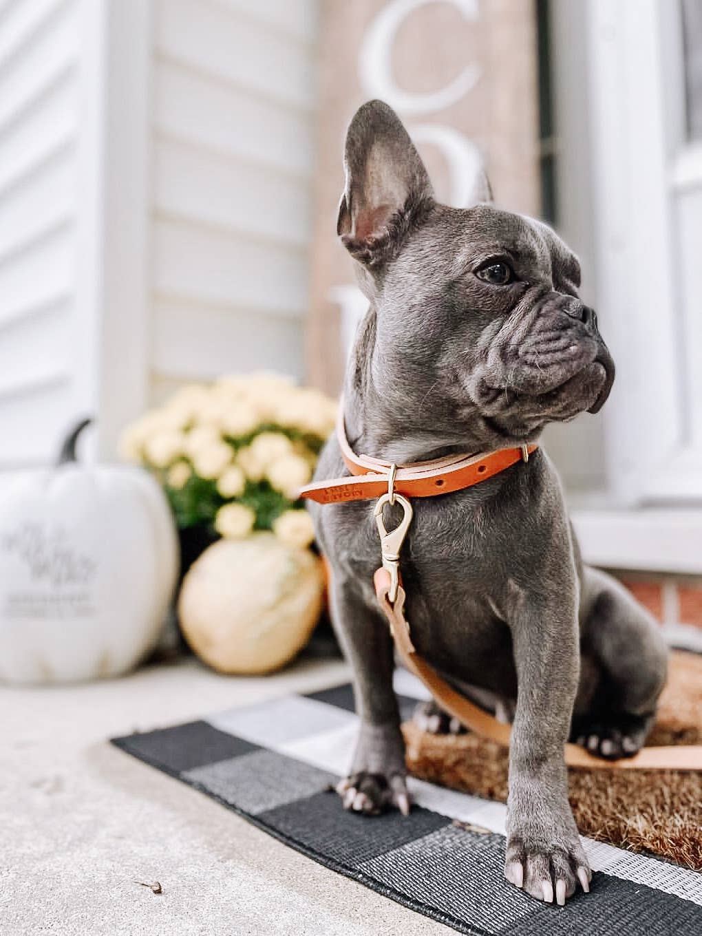 The Leather Collar — Caramel Slim