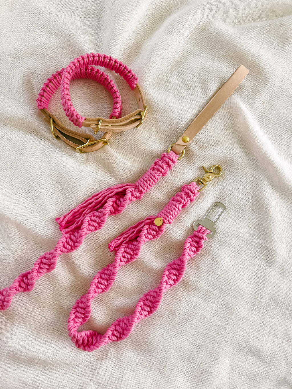 The Safety Leash — Rose