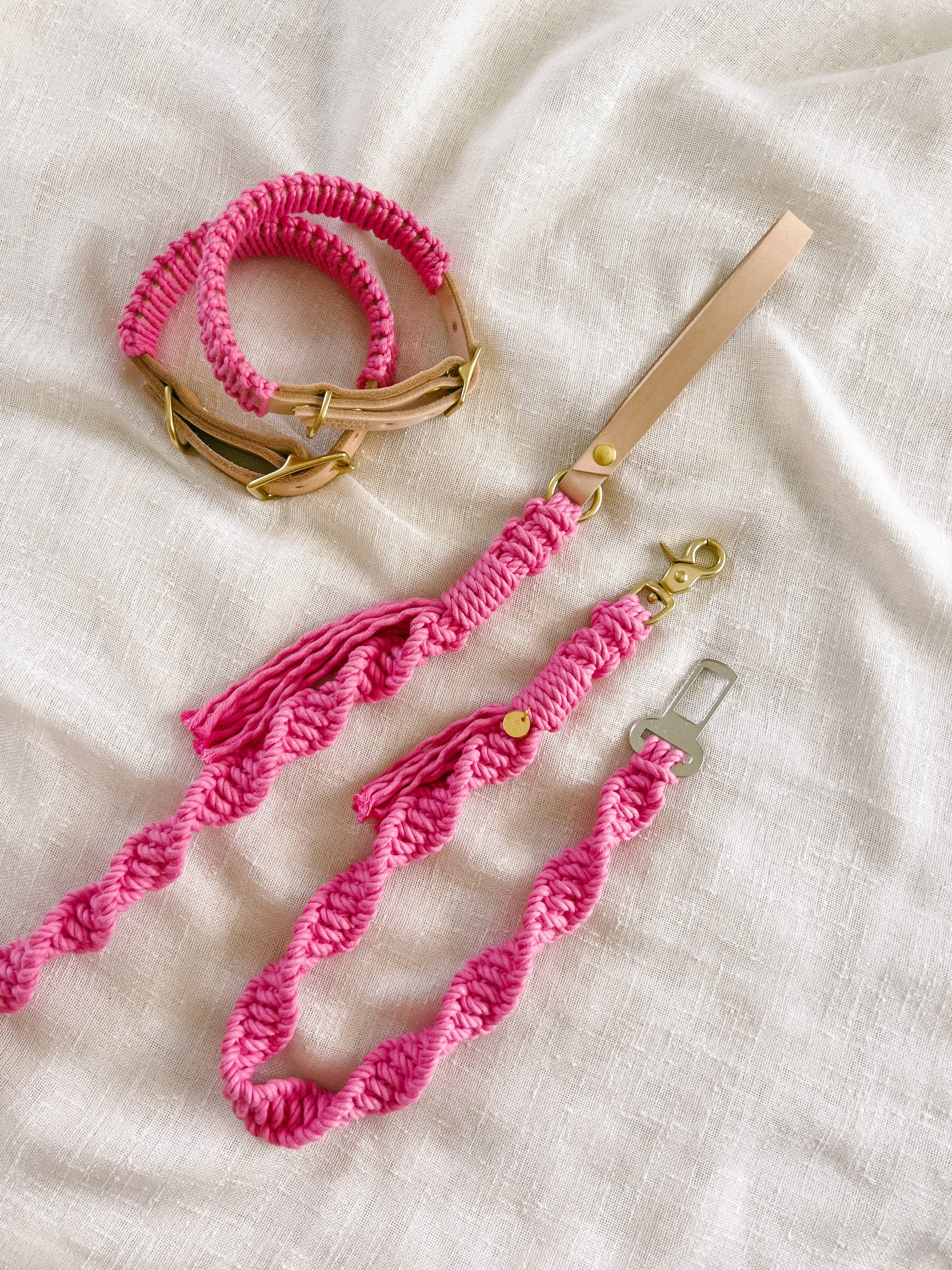 The Safety Leash — Rose