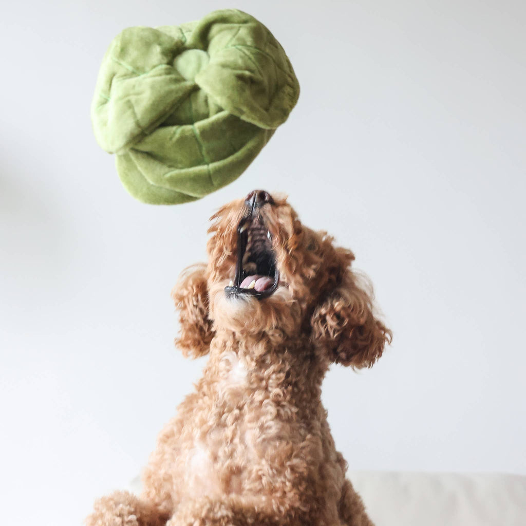 The Snuffle Chou — Sage