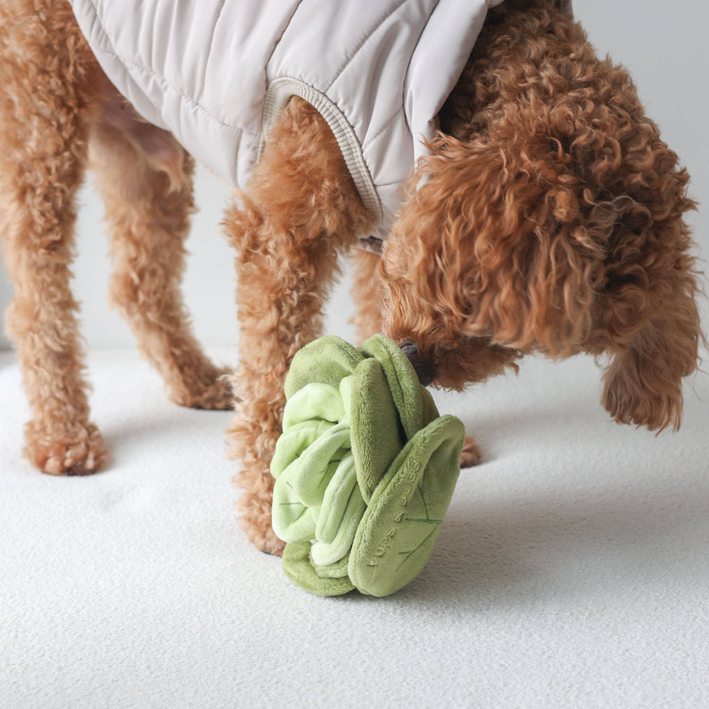 The Snuffle Chou — Sage