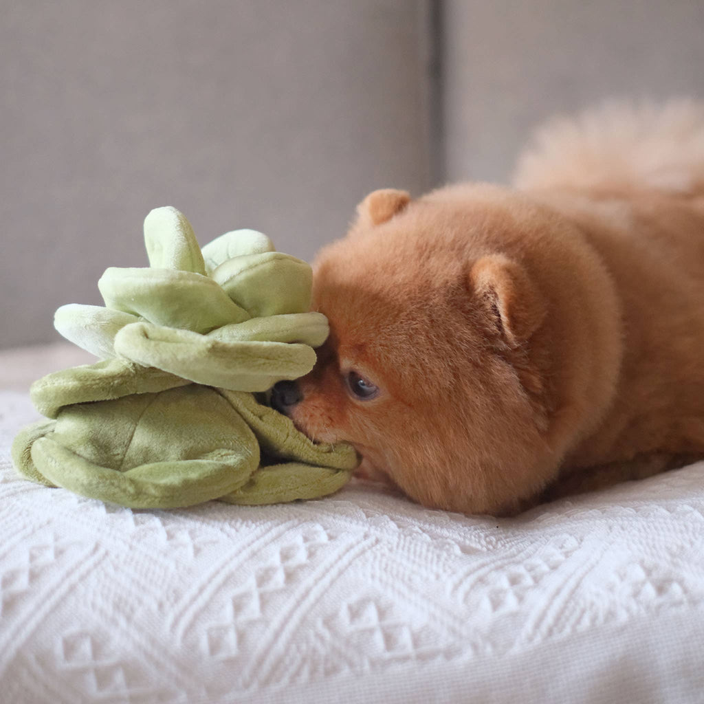 The Snuffle Chou — Sage