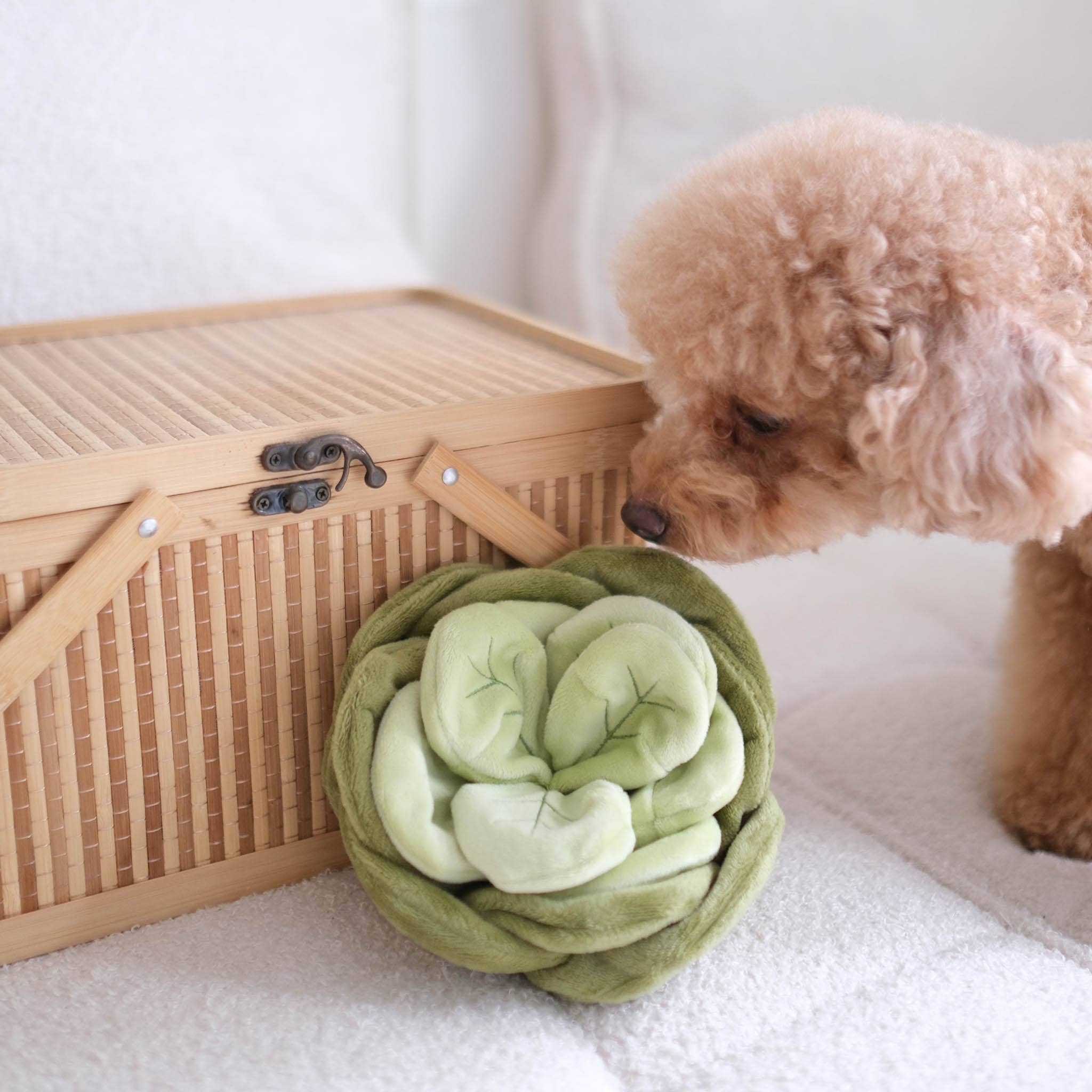 The Snuffle Chou — Sage