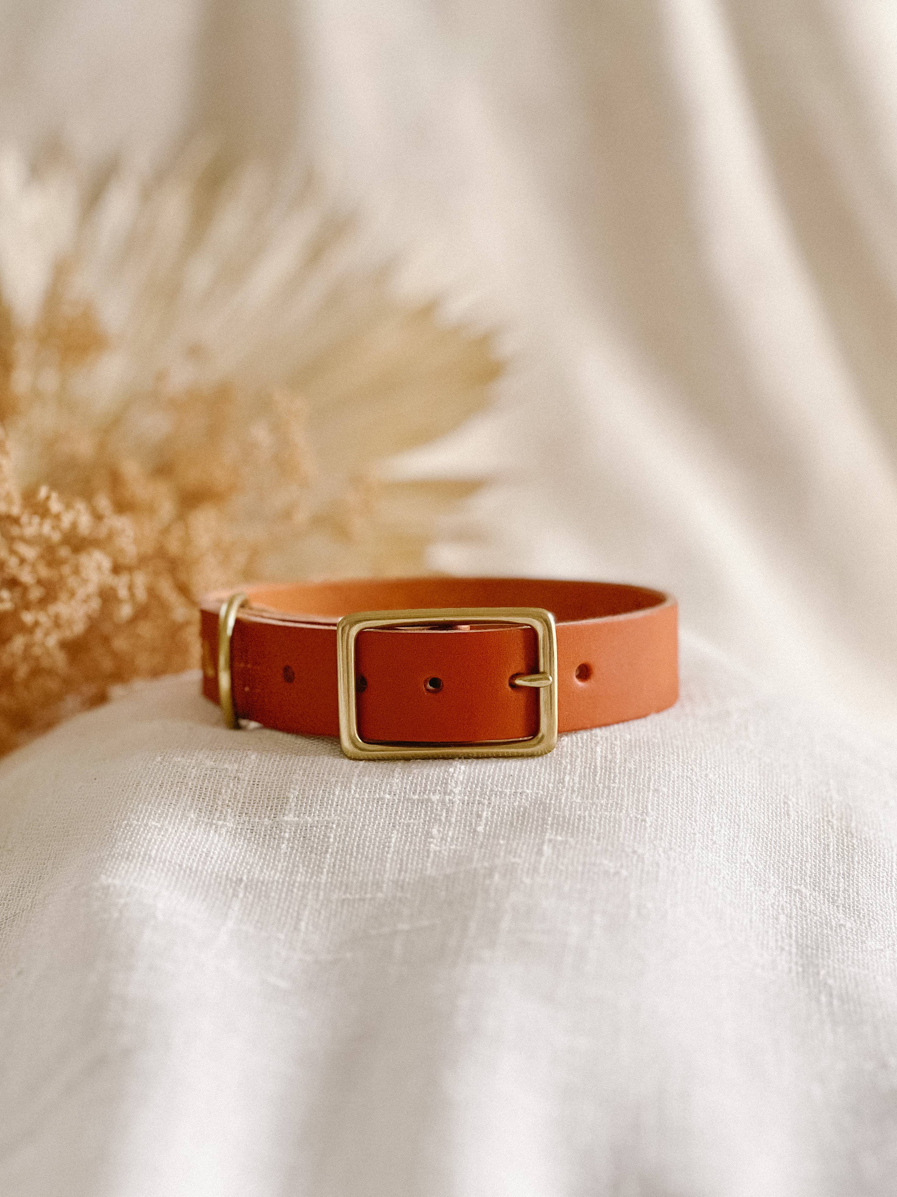 The Leather Collar — Caramel Wide