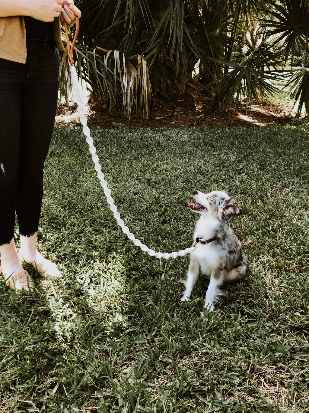 The Macramé Leash — Natural